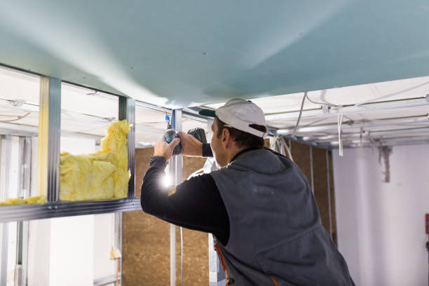 Best Geographic-Specific Insulation Services in Greenville, VA