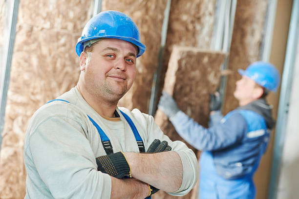 Best DIY Insulation Kits and Guidance in Greenville, VA