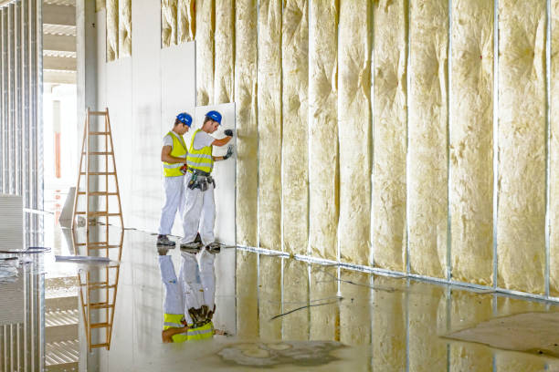 Best Blown-in Insulation in Greenville, VA